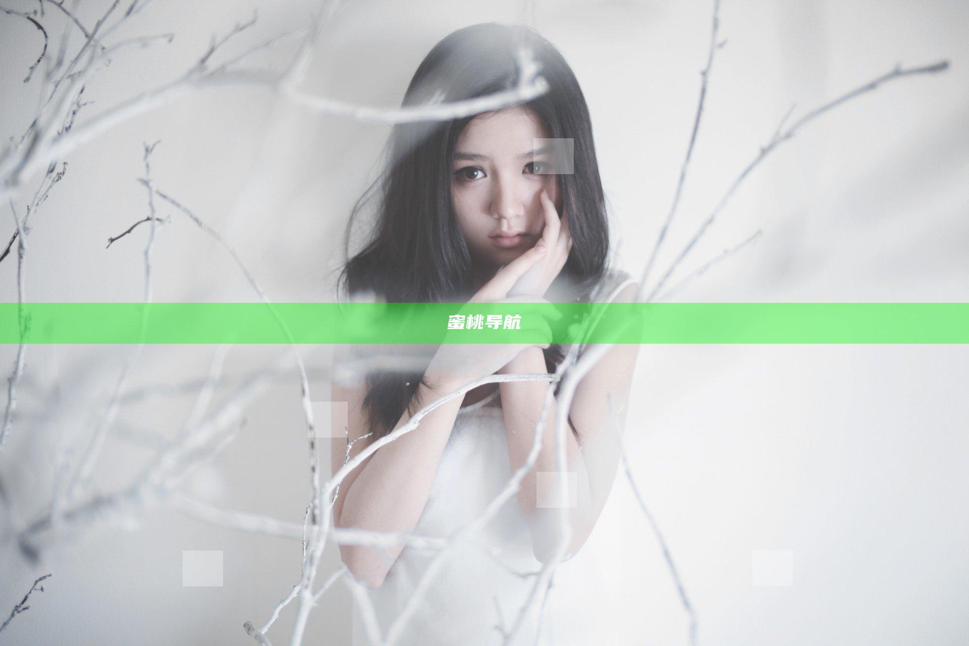 蜜桃导航