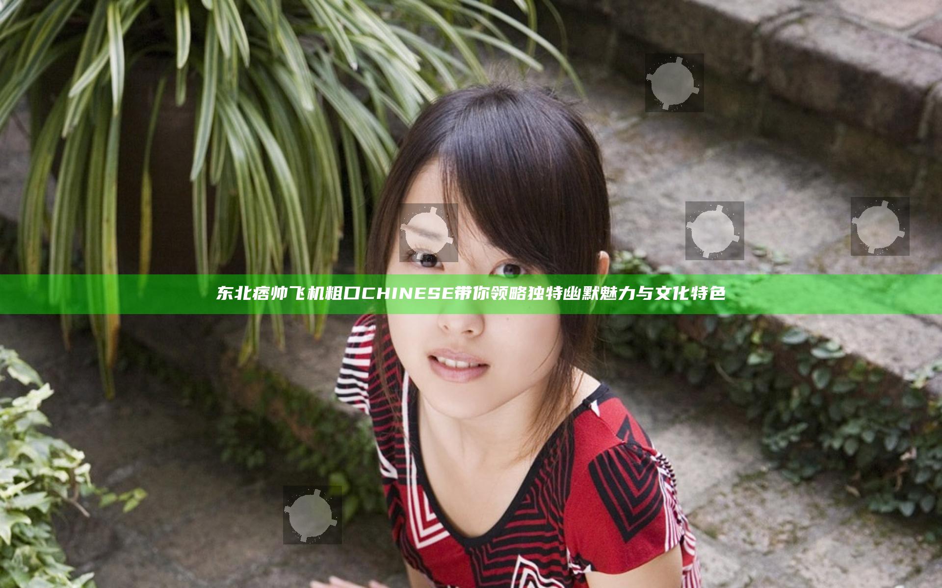 东北痞帅飞机粗口CHINESE带你领略独特幽默魅力与文化特色